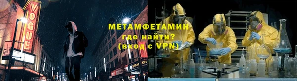 прущие грибы Рославль