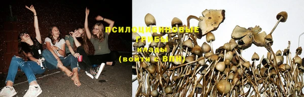 таблы Армянск