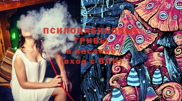 прущие грибы Рославль