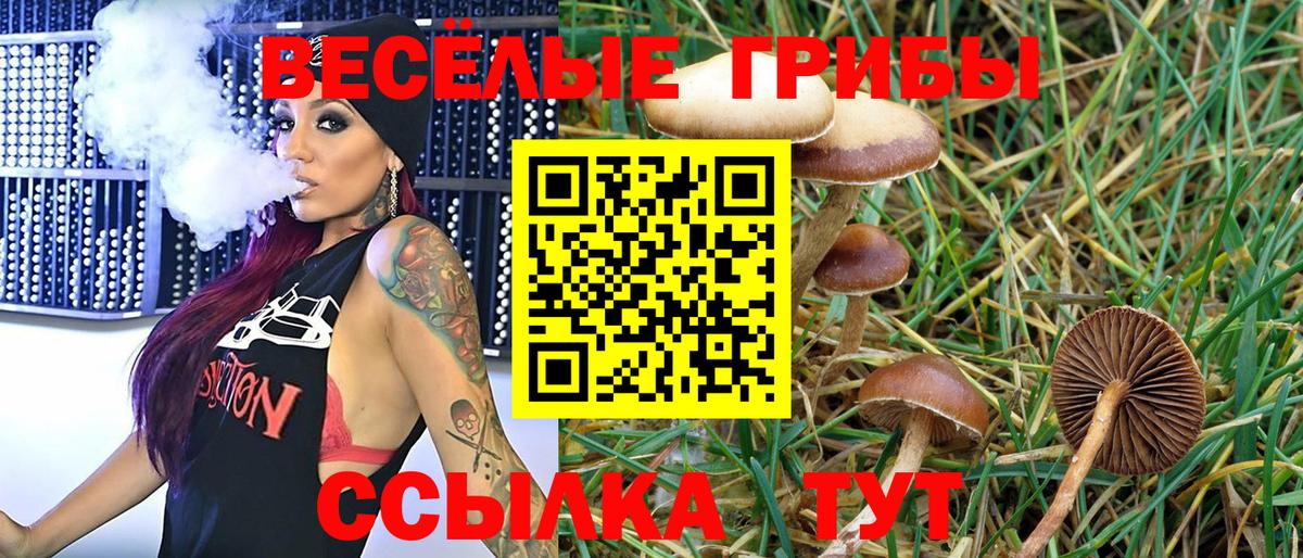 Псилоцибиновые грибы Psilocybine cubensis  Вход с VPN  Унеча 