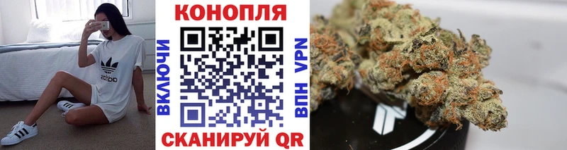 наркота  Унеча  Бошки марихуана OG Kush 